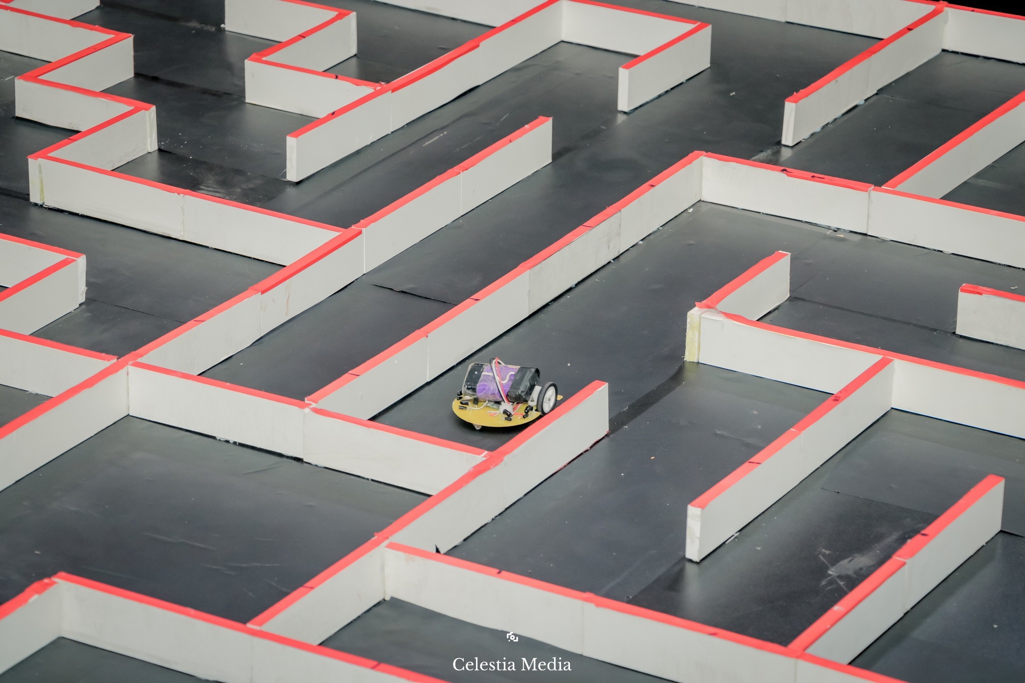 MicroMaze gallery 5