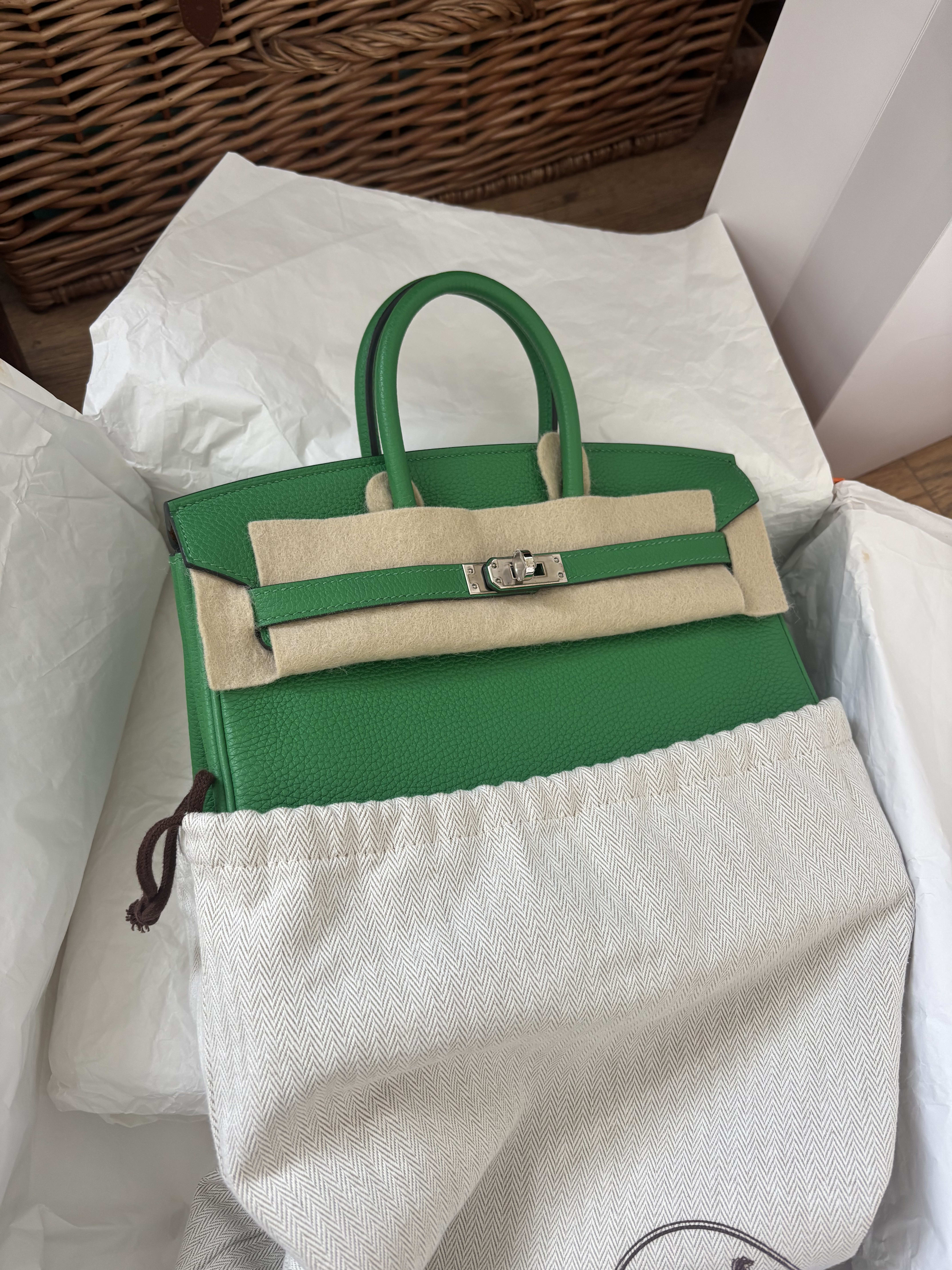 Hermès Birkin 25