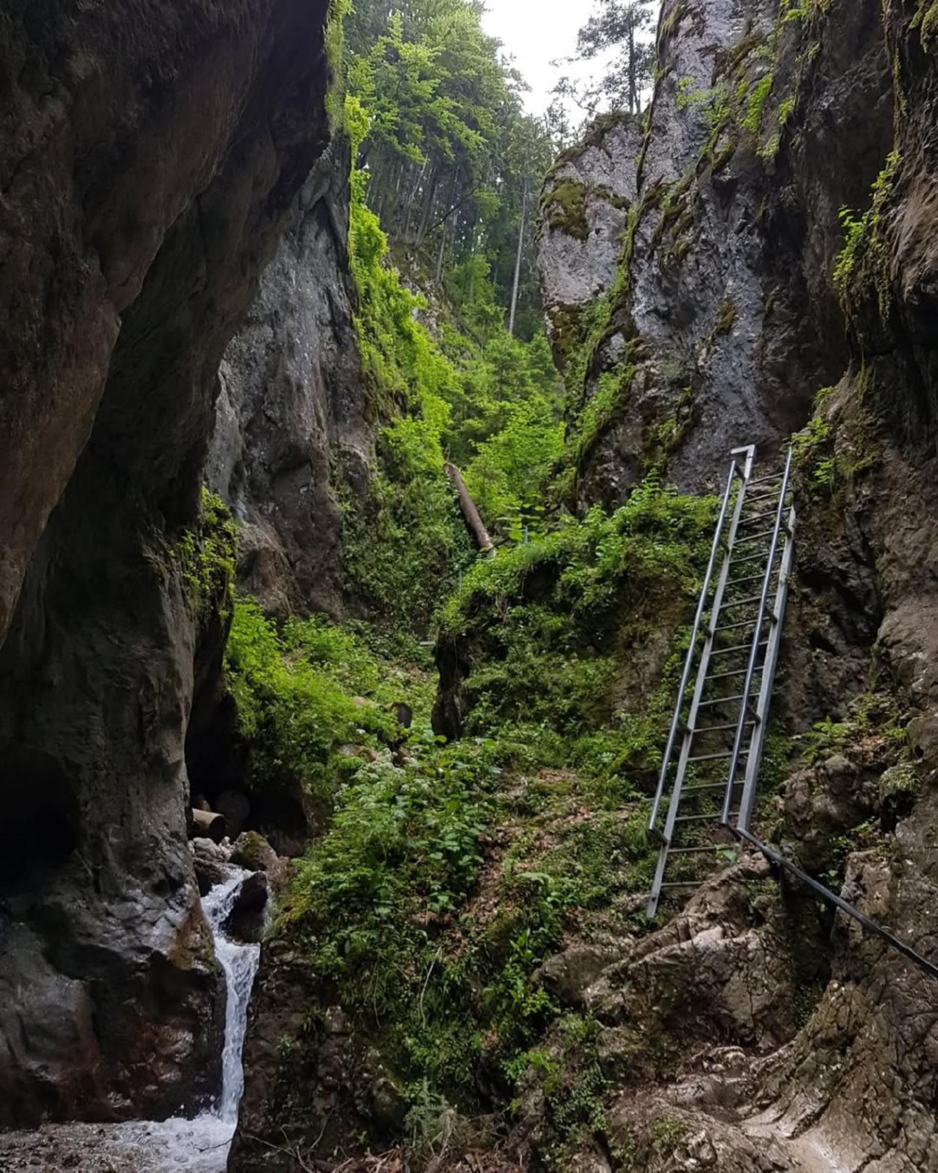 Весь мир на ладони