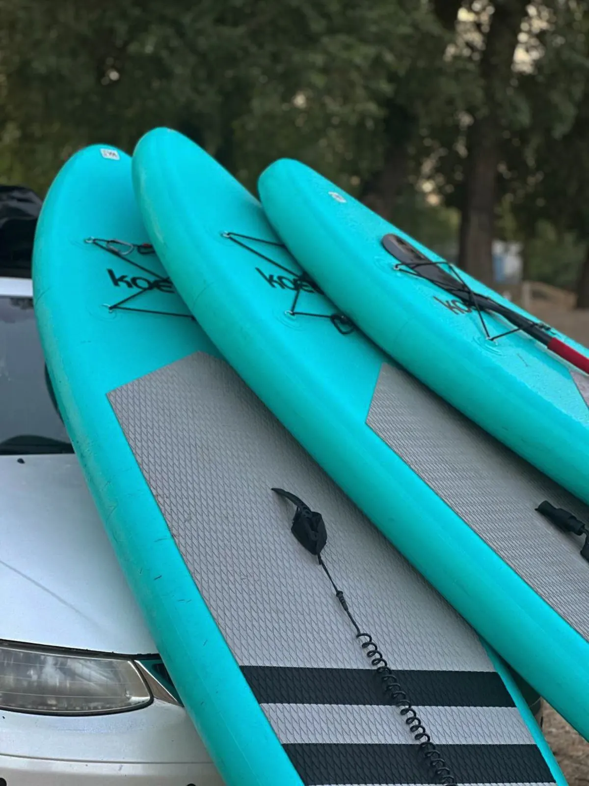 SUP Emotion 2