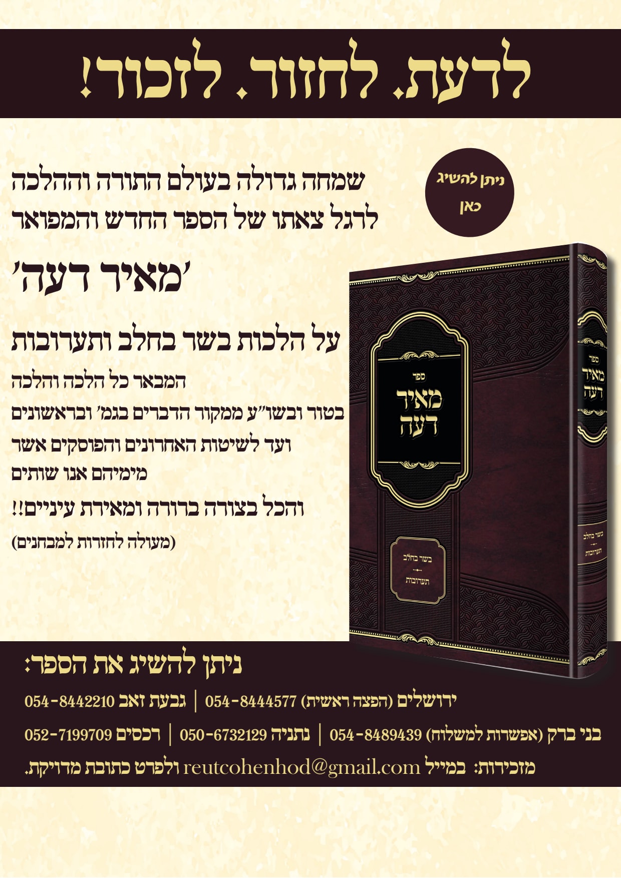 מאיר דעה