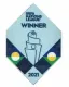 Badge Winner Nation League