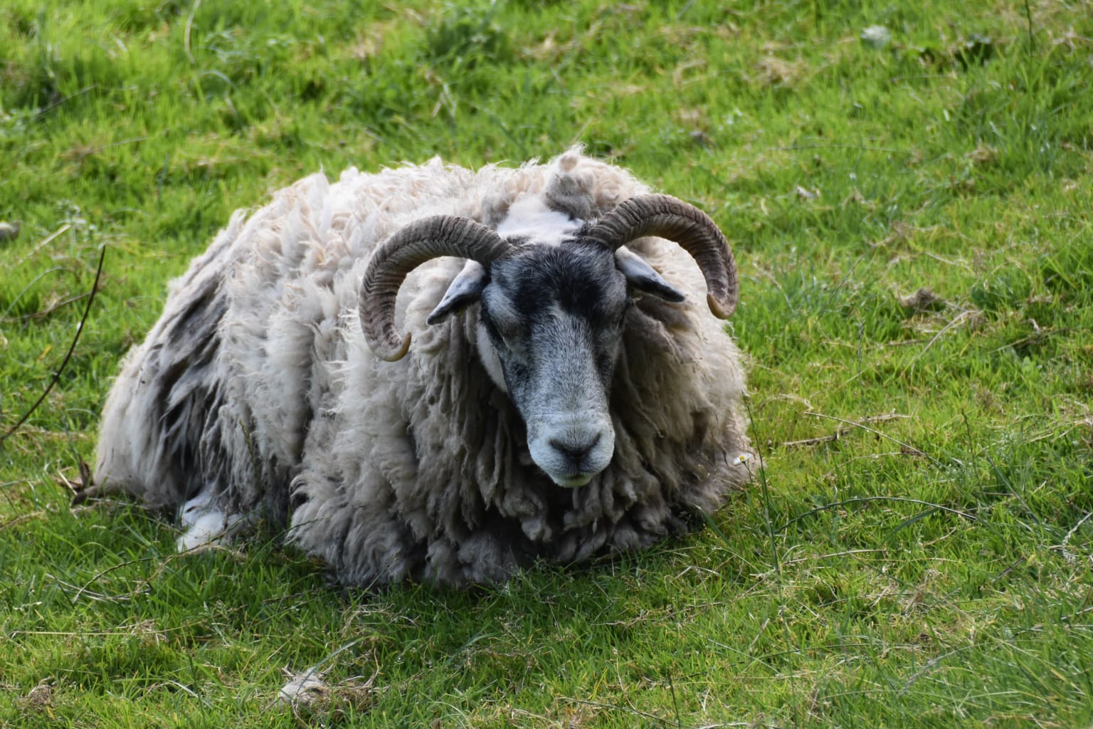 isle-of-skye-photo-5