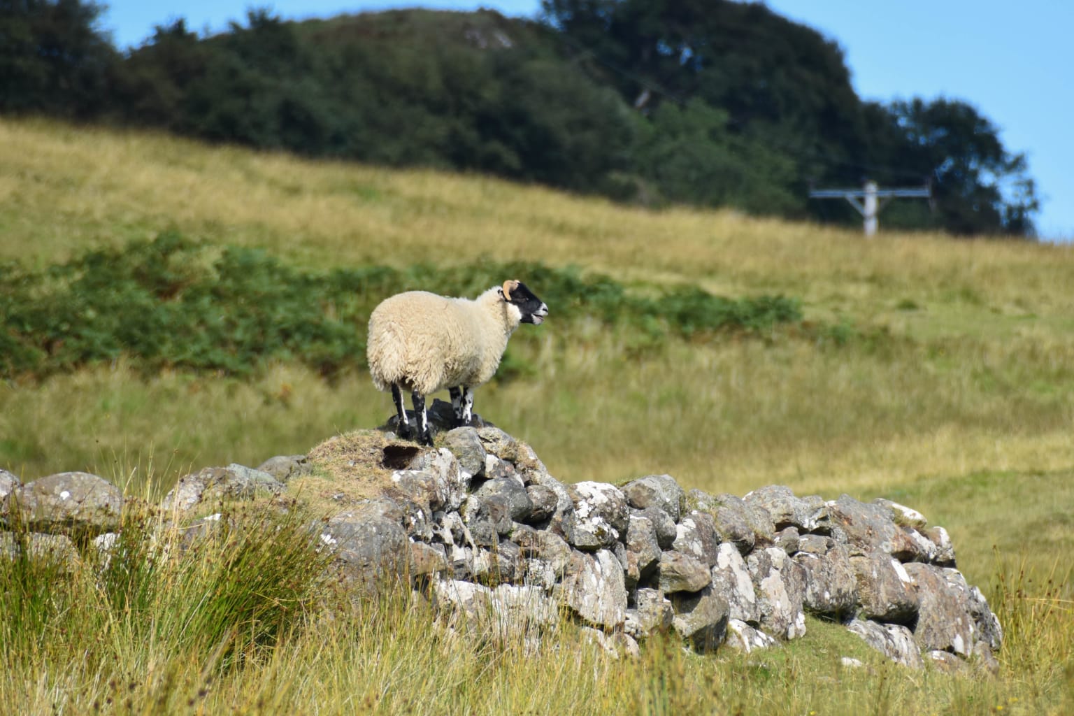 isle-of-skye-photo-6