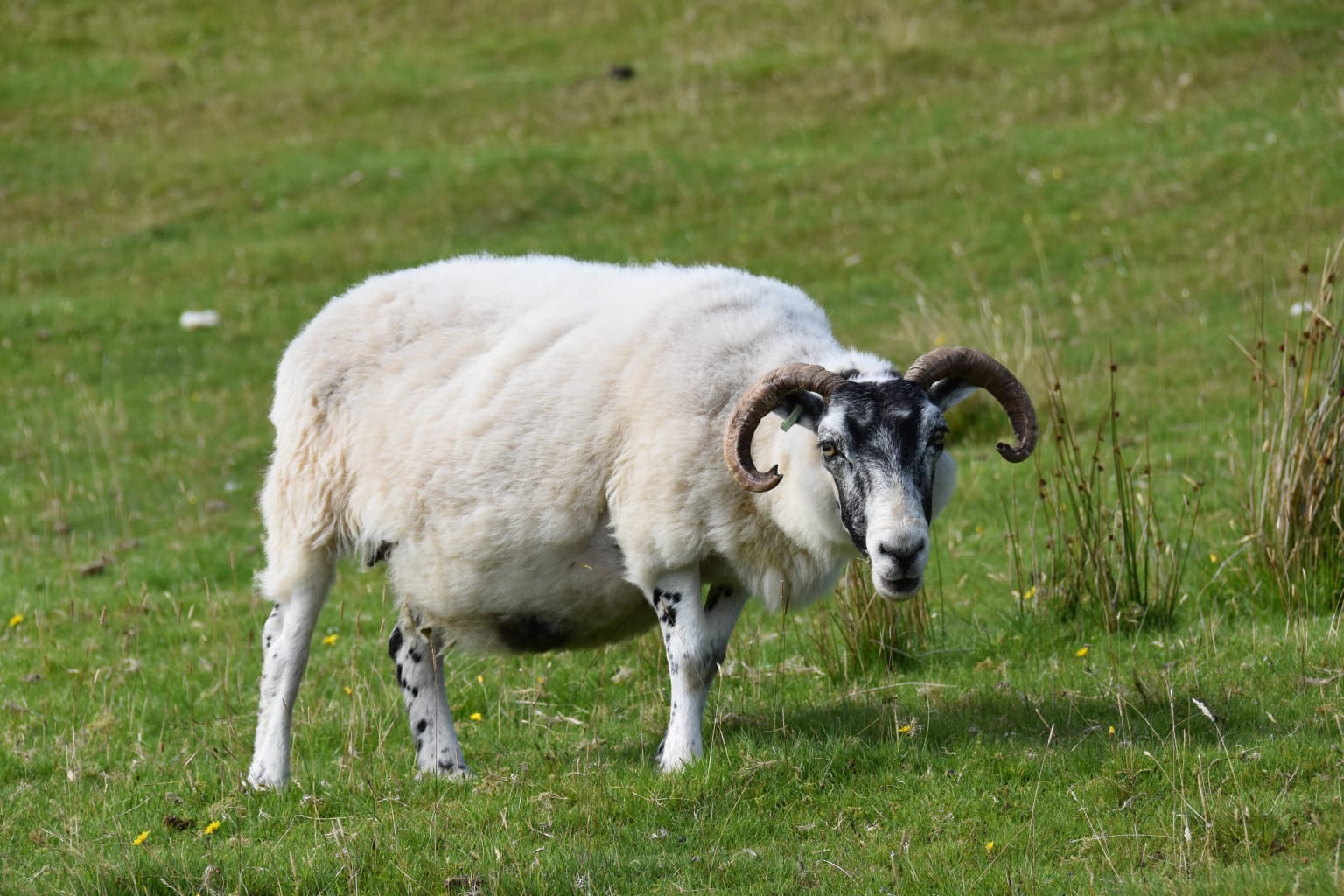 isle-of-skye-photo-8