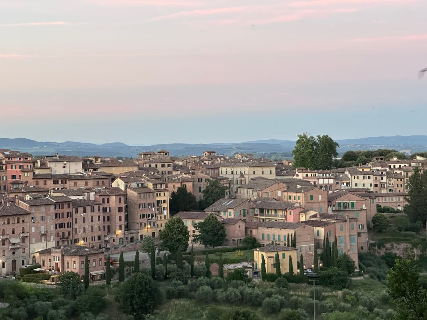 The rooftops of Siena at dusk