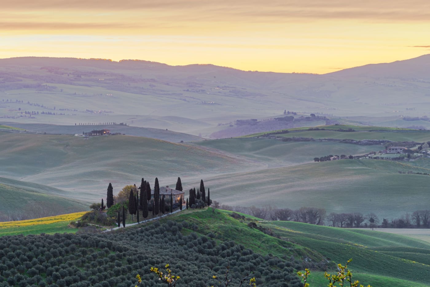 Spring in the Val d'Orcia: Poppies and When to Go
