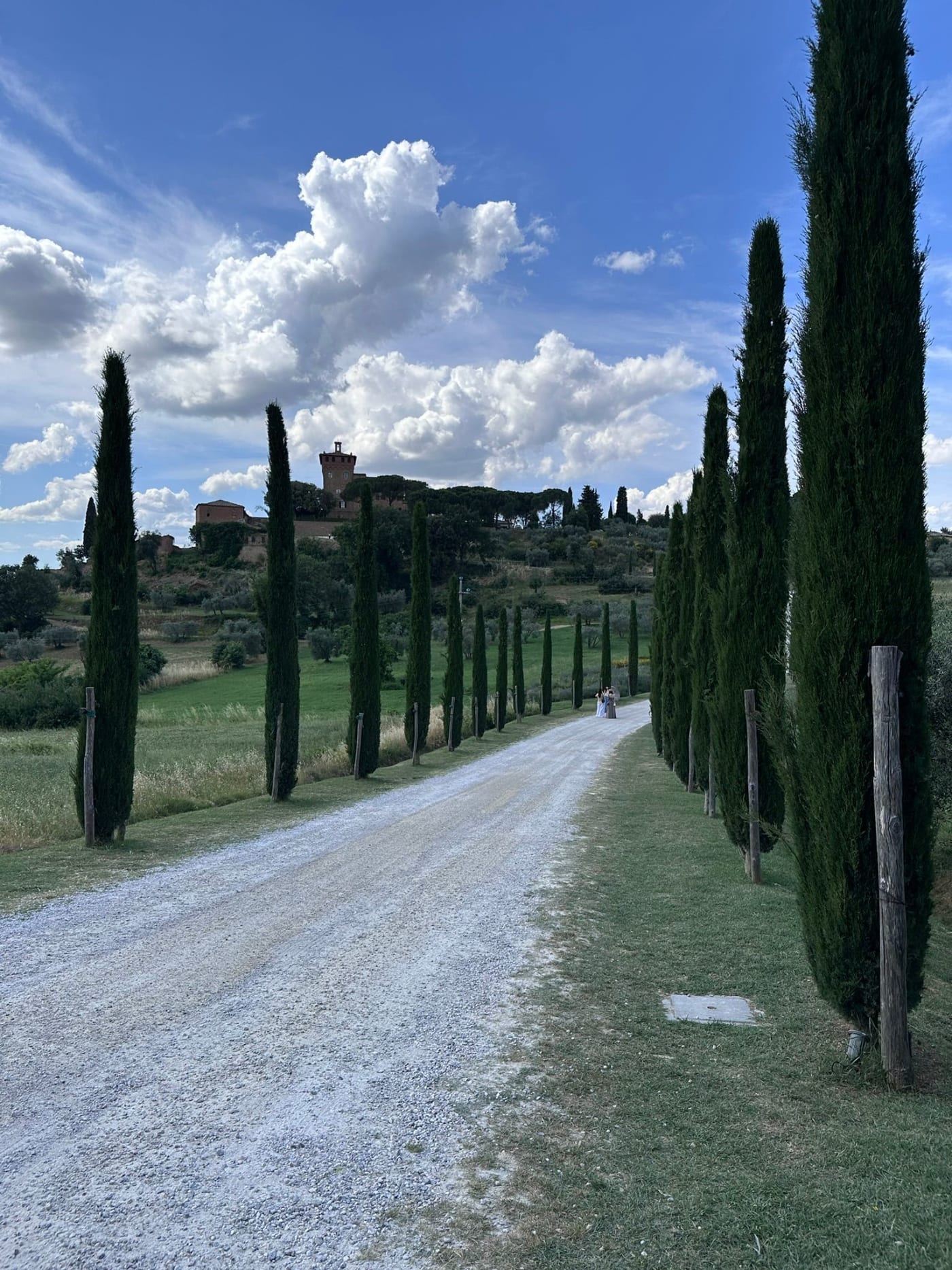A cypress-lined white road in the Val d'Orcia