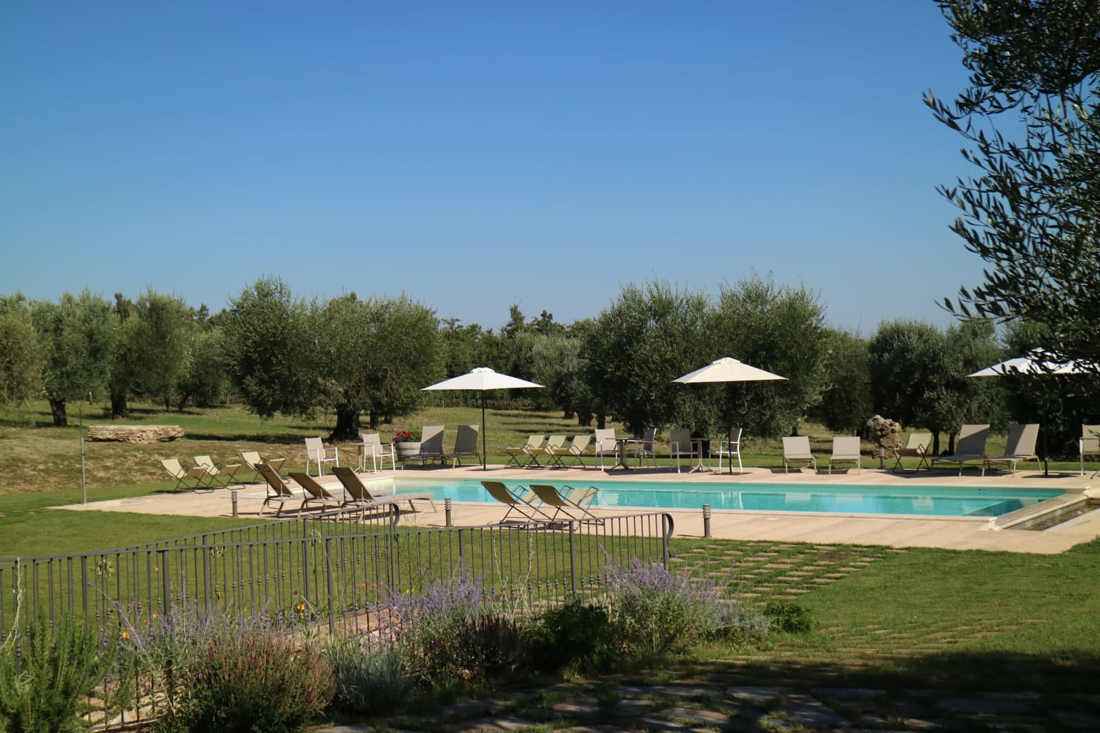 Tenuta La Barricaia — loungers along the pool