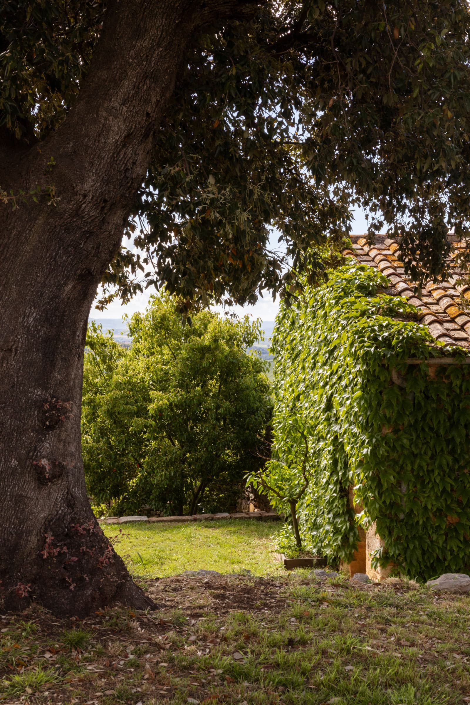 Argentaia Estate in Maremma, Tuscany, photograph 26 of 55