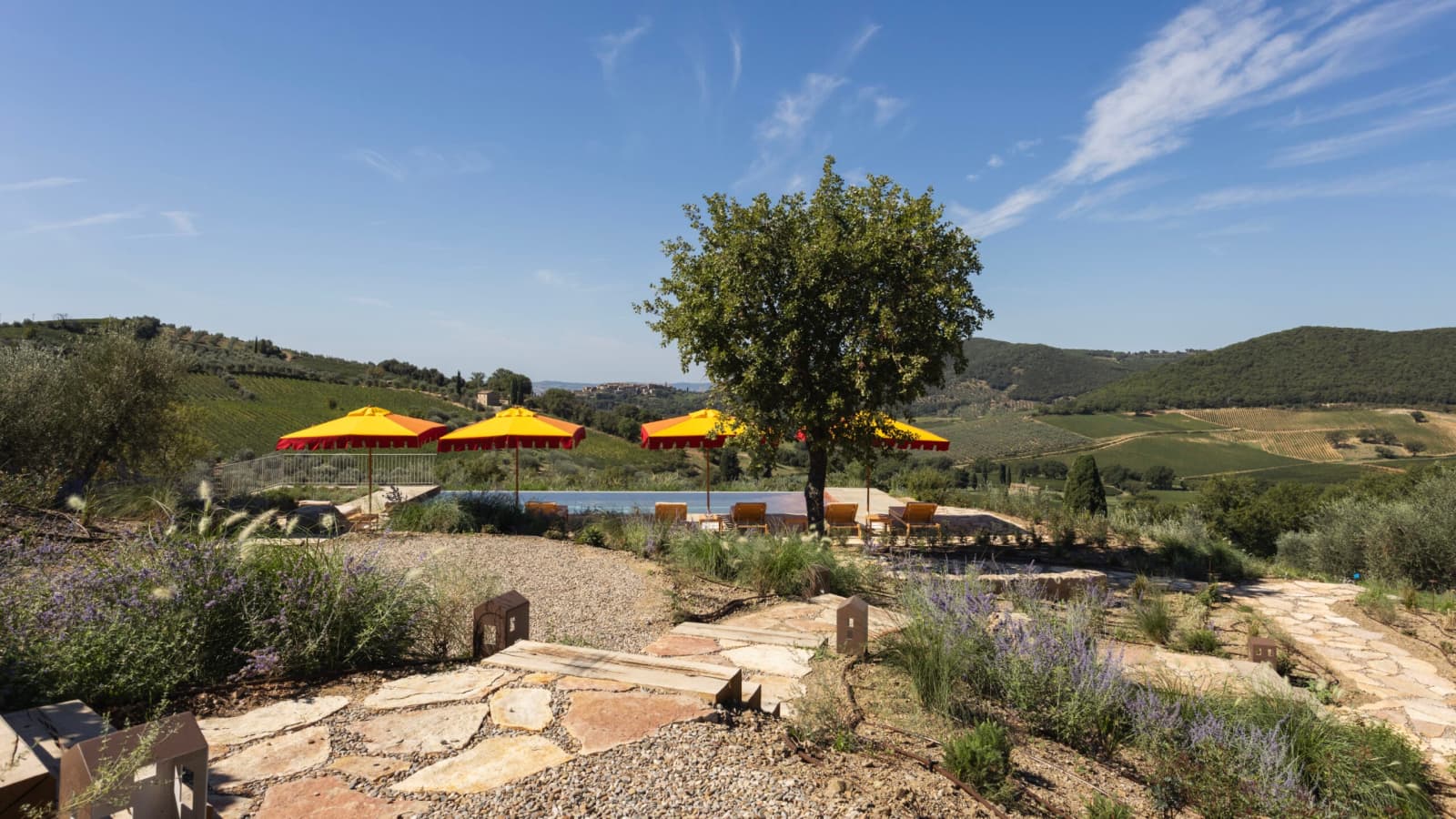 Podere Mastrojanni — the pool overlooking the Val d'Orcia hills