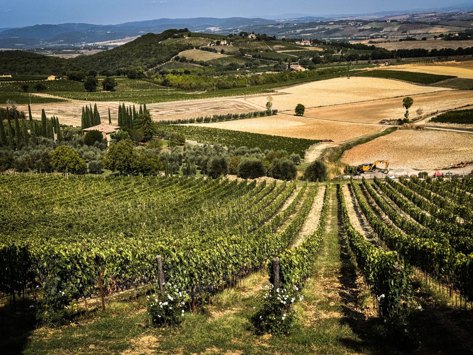 Villa Poggio d'Oro — Brunello vineyards in the valley below