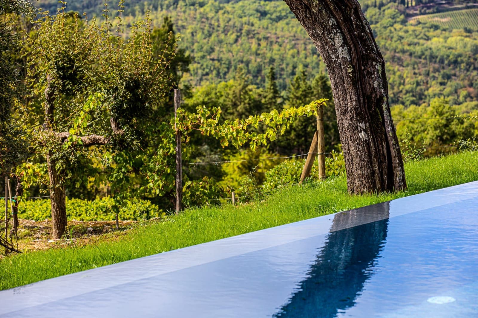 Casa dell'Erta — the pool's edge above the woods