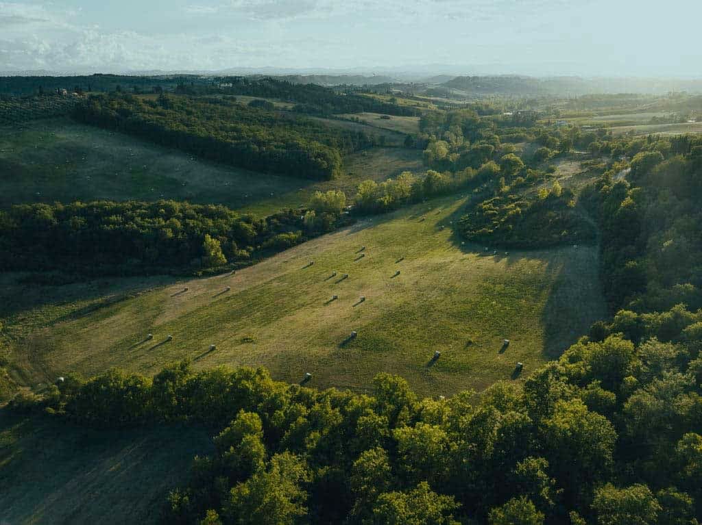 Tenuta Belvedere Estate: Tenuta Belvedere — woods and fields around the estate