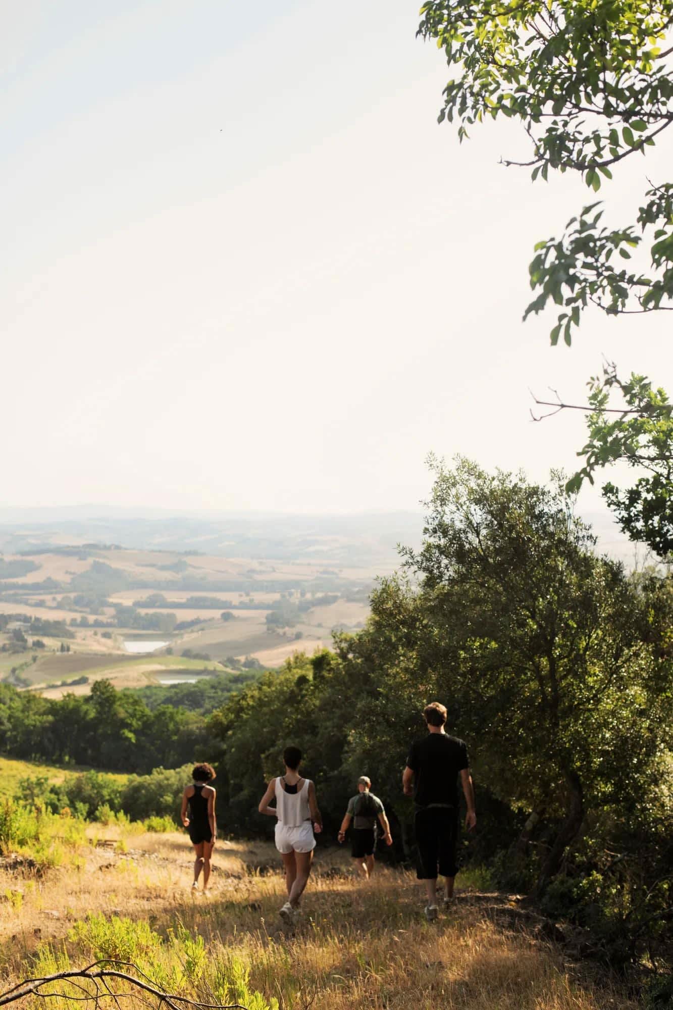 Castiglion del Bosco, photograph 28 of 34