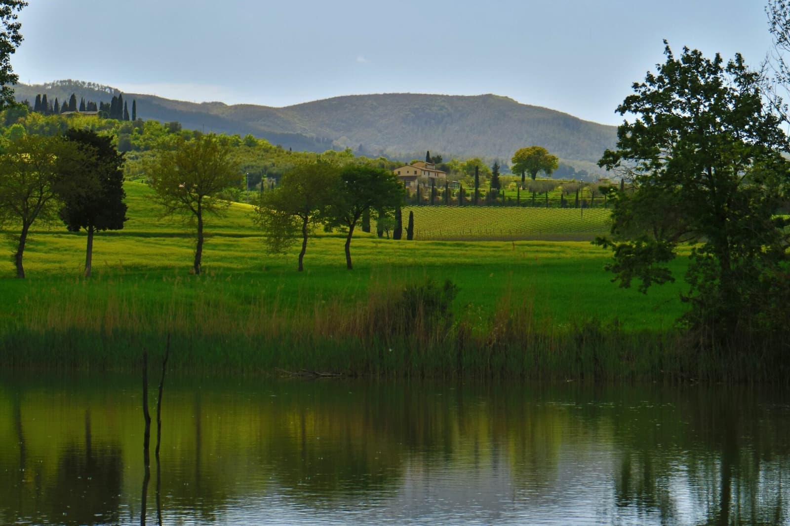 Tenuta La Barricaia — a lake among the surrounding fields
