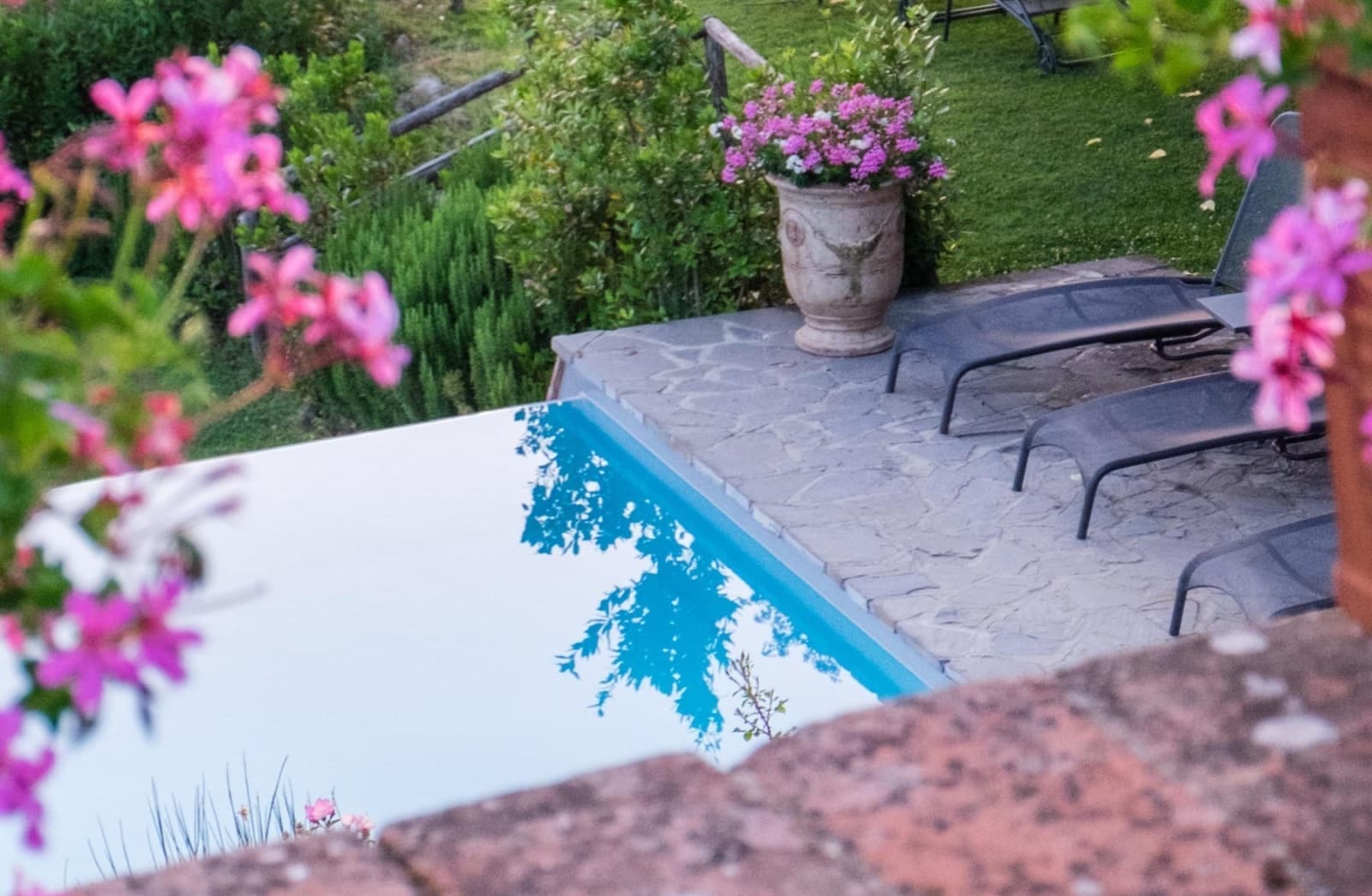 Casale Gherardi — the infinity pool through the garden flowers