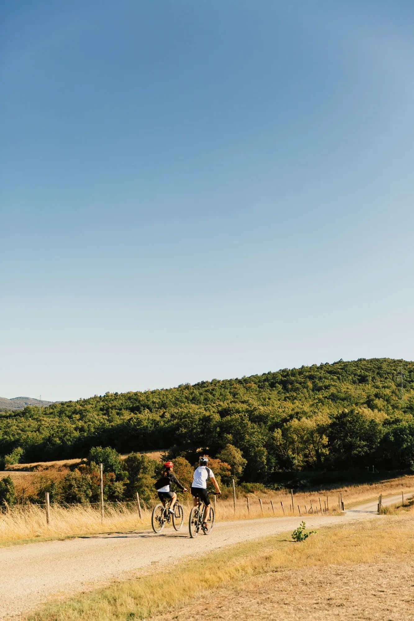 Castiglion del Bosco, photograph 27 of 34