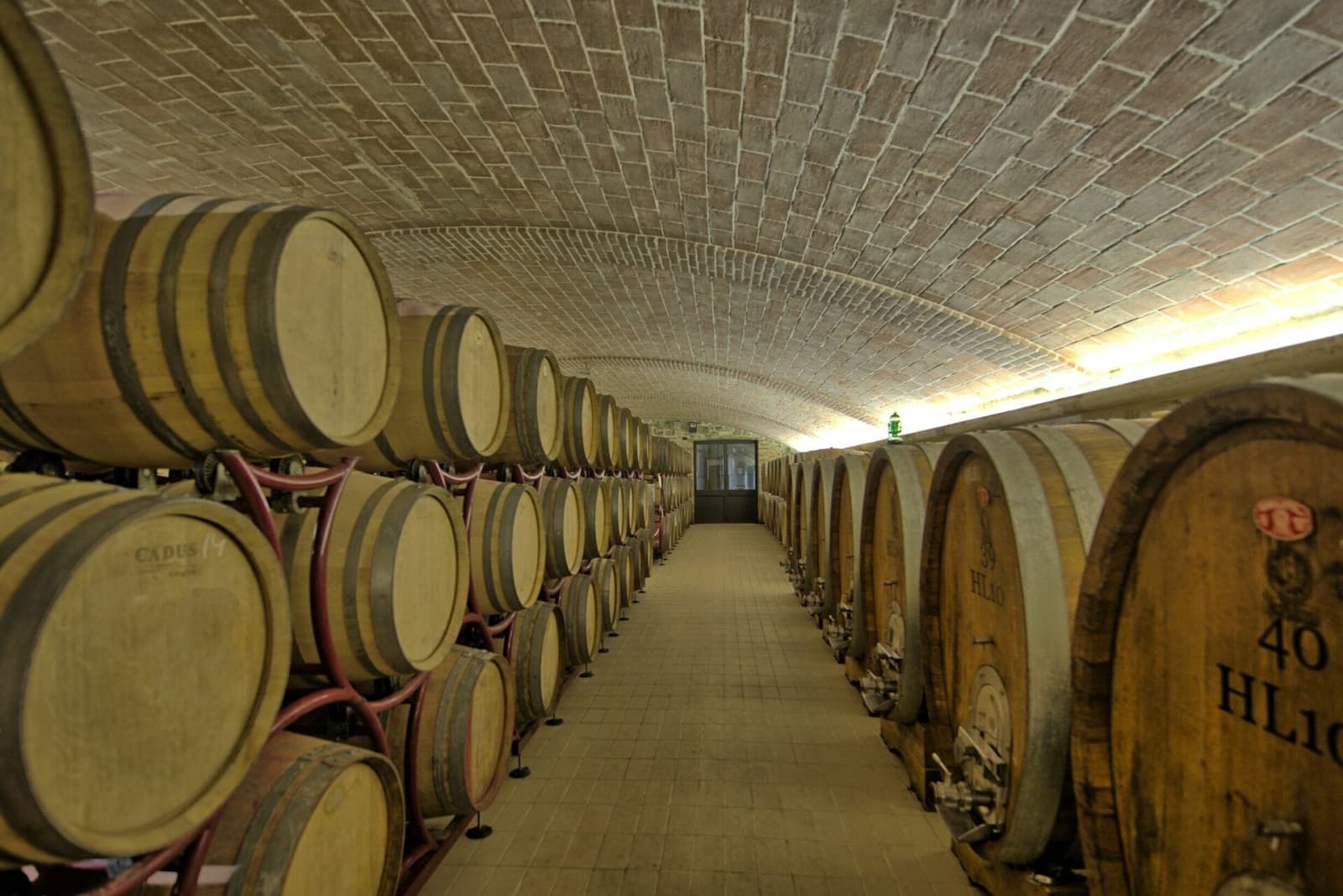 Tenuta La Barricaia — the long barrique cellar