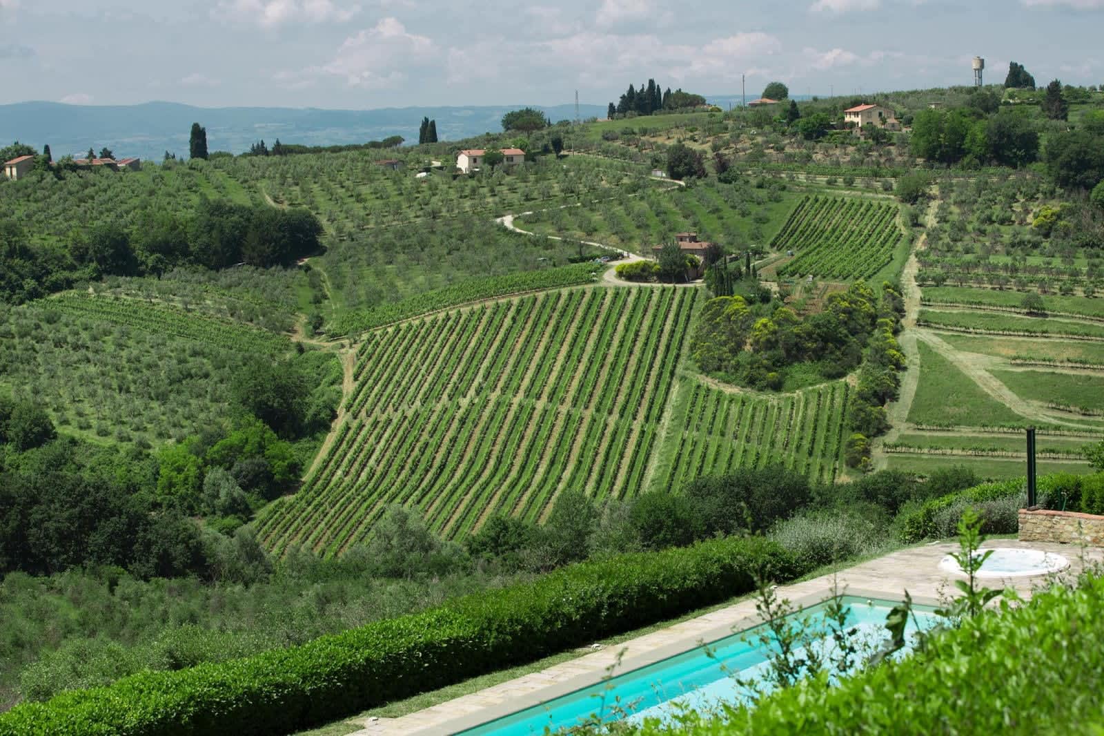 Villa Fornacella — the pool below the vineyards