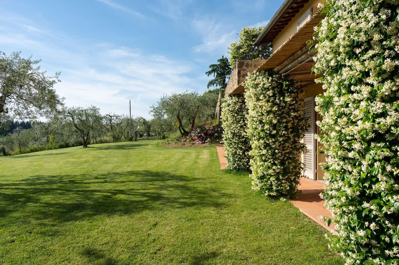 Casa Lilia — the lawn beside a jasmine-covered pergola
