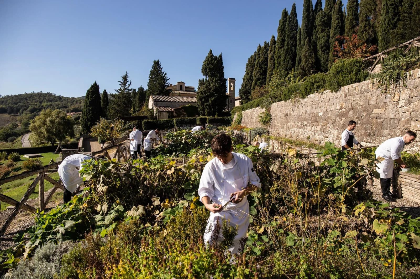 Castiglion del Bosco, photograph 1 of 34