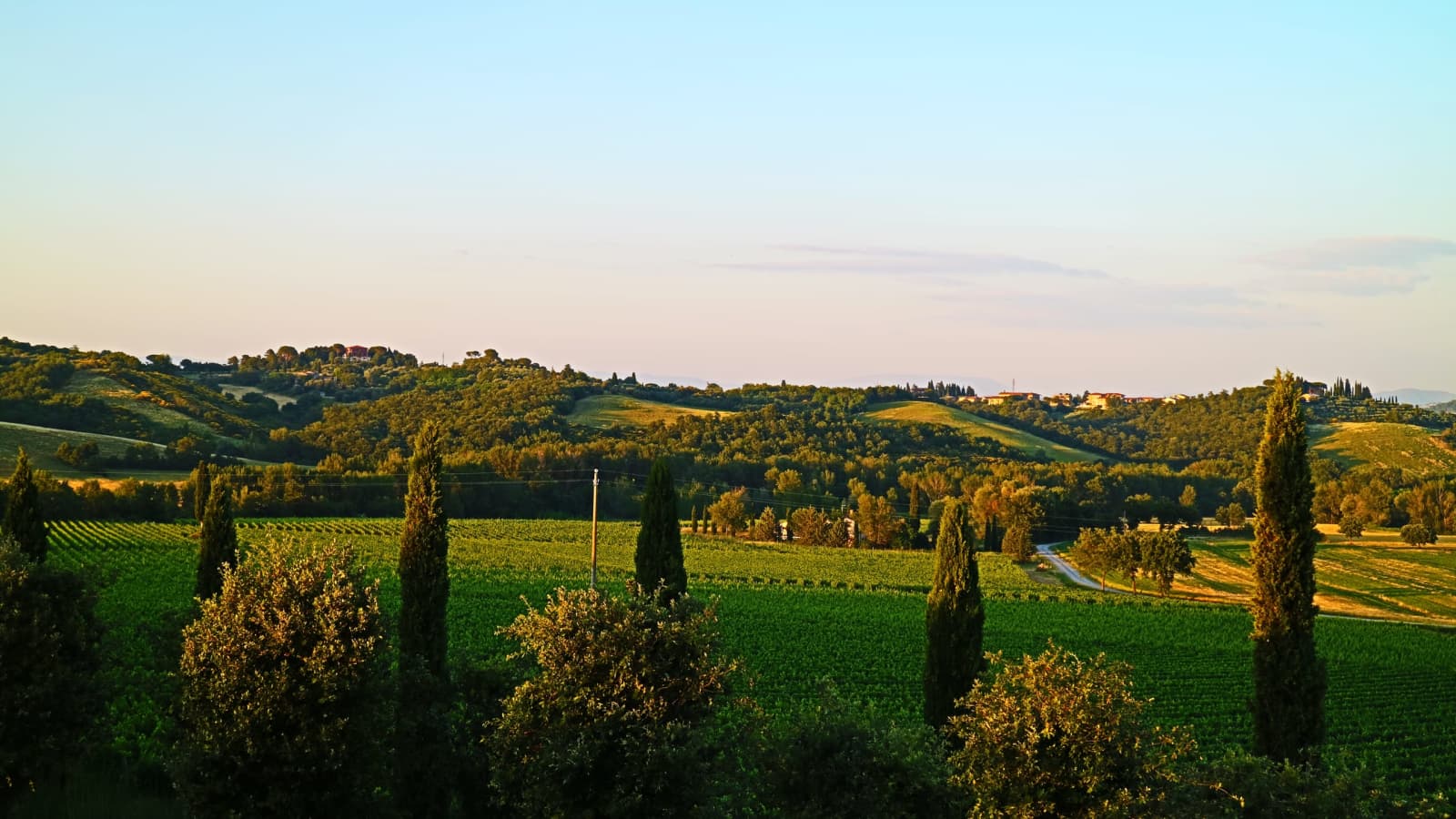 Tenuta La Barricaia — evening over the hills