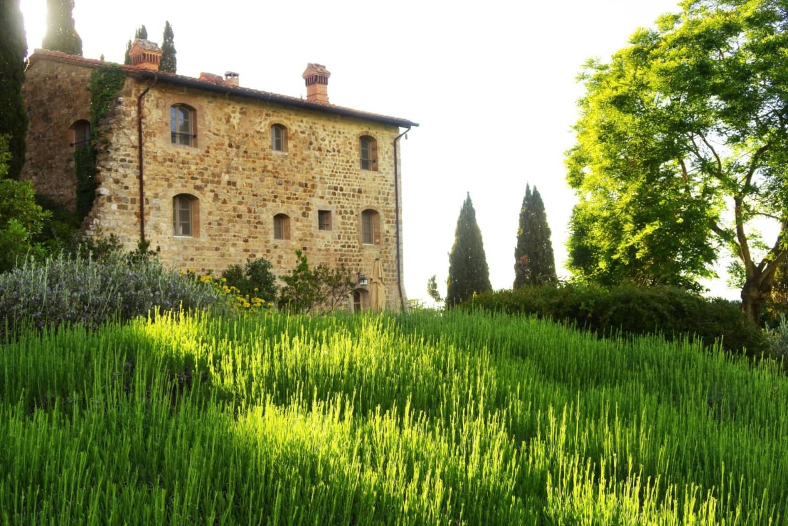 Villa Castello in Castiglion del Bosco, Tuscany, photograph 9 of 19