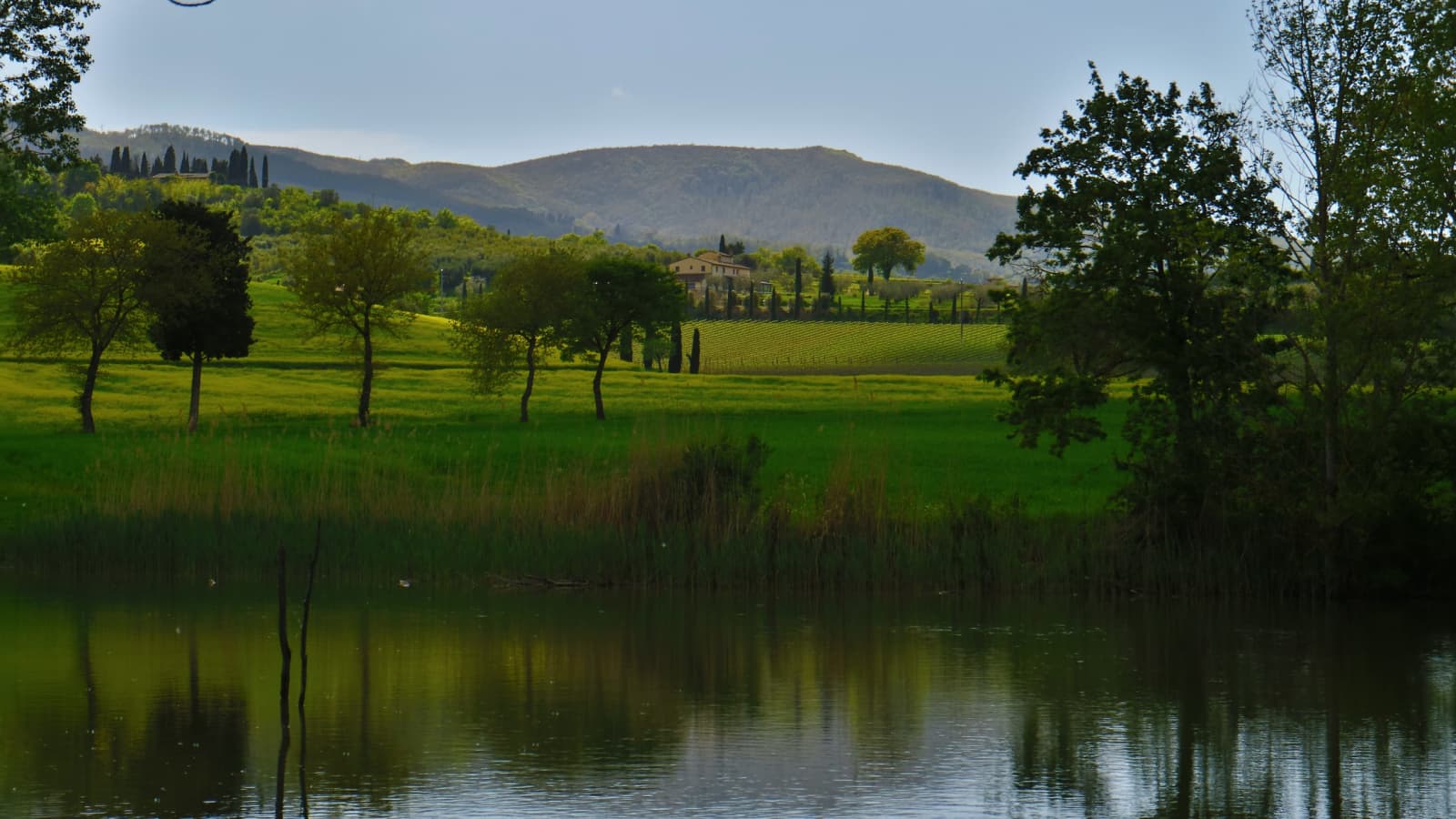 Tenuta La Barricaia — a pond on the estate