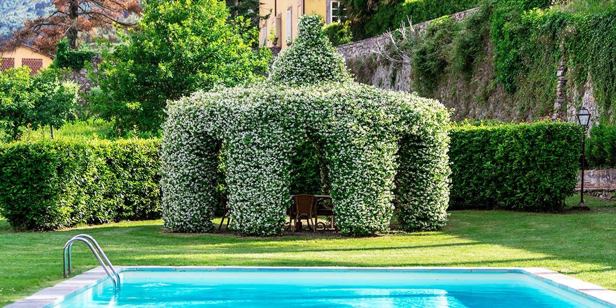 Villa Matteucci in Lucca & Garfagnana, Tuscany, photograph 2 of 39
