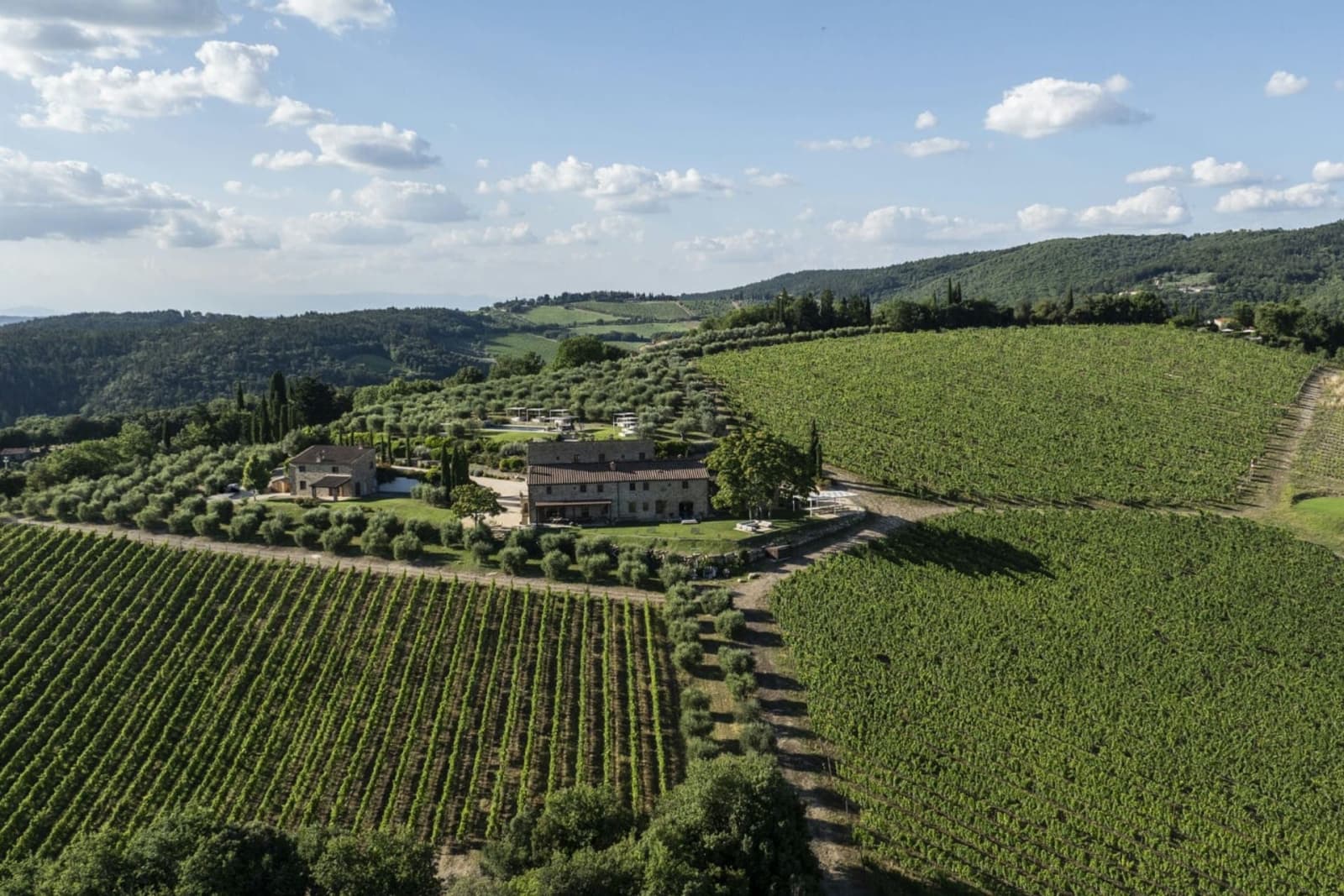 Villa Il Cellese — the estate among its vineyards