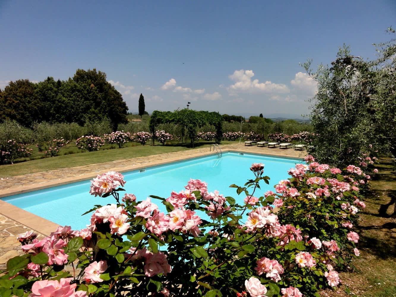 Villa Castellaro — the pool behind a bank of pink roses