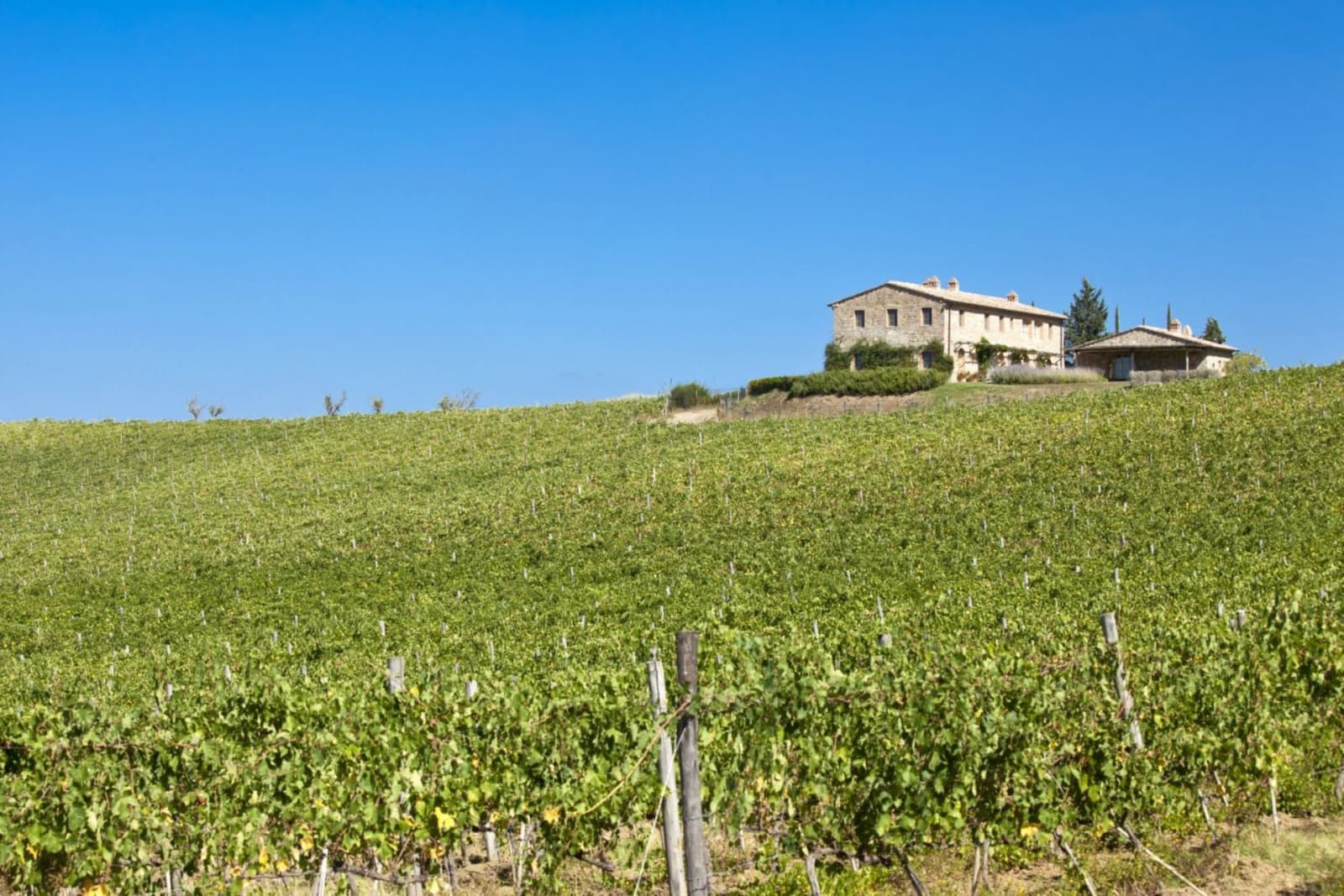 Villa Gauggiole in Castiglion del Bosco, Tuscany, photograph 11 of 24