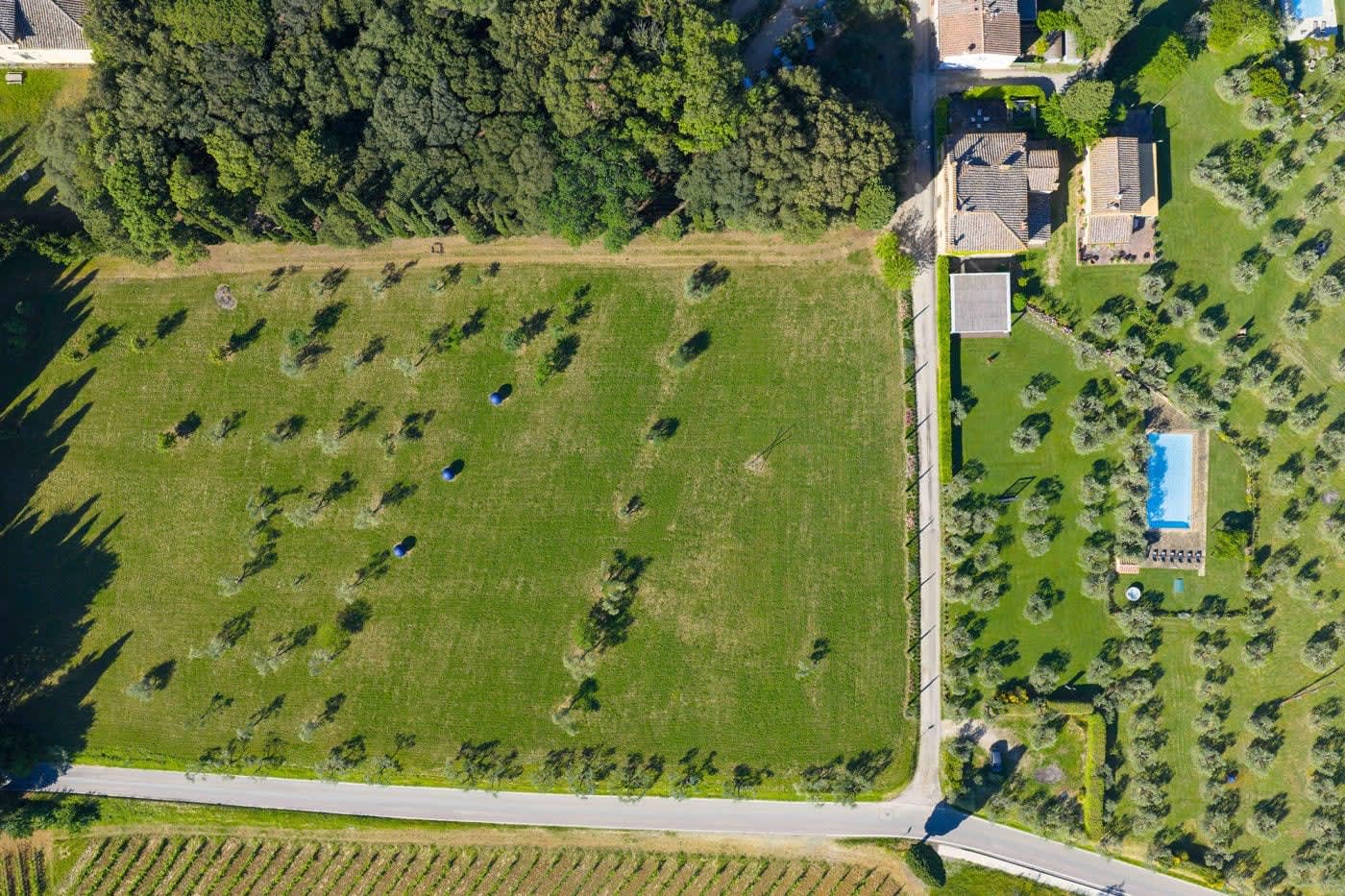 Villa Castellaro — the lawn and olive grove running down from the house