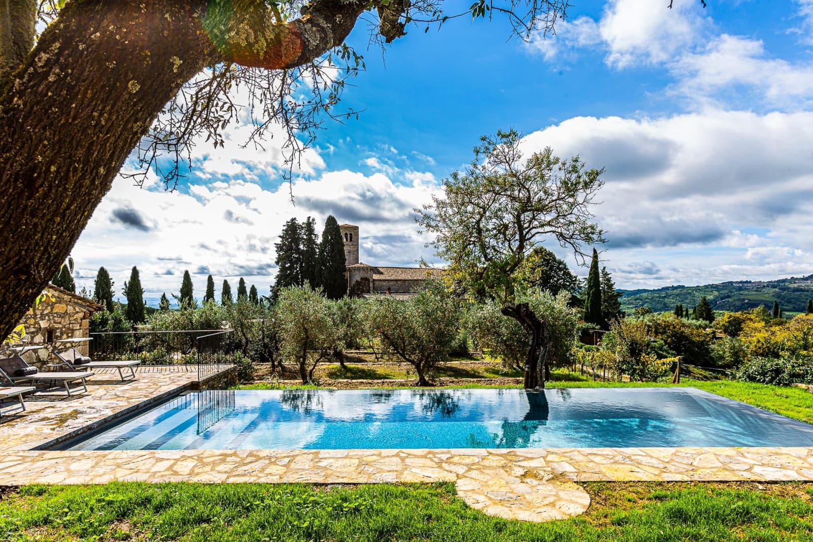 Casa dell'Erta — the pool framed by olive trees
