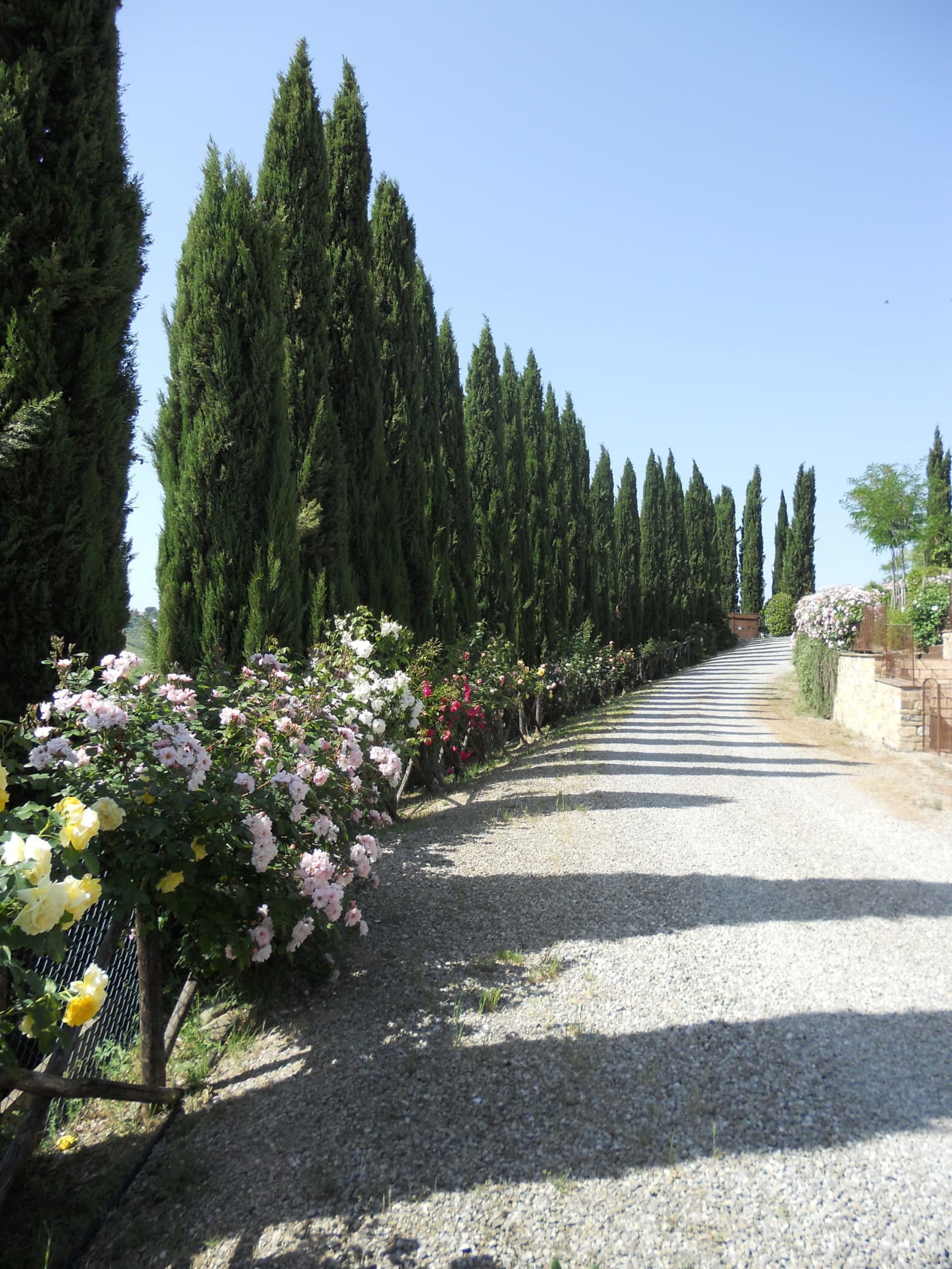 Villa Elle in Siena, Tuscany, photograph 52 of 65