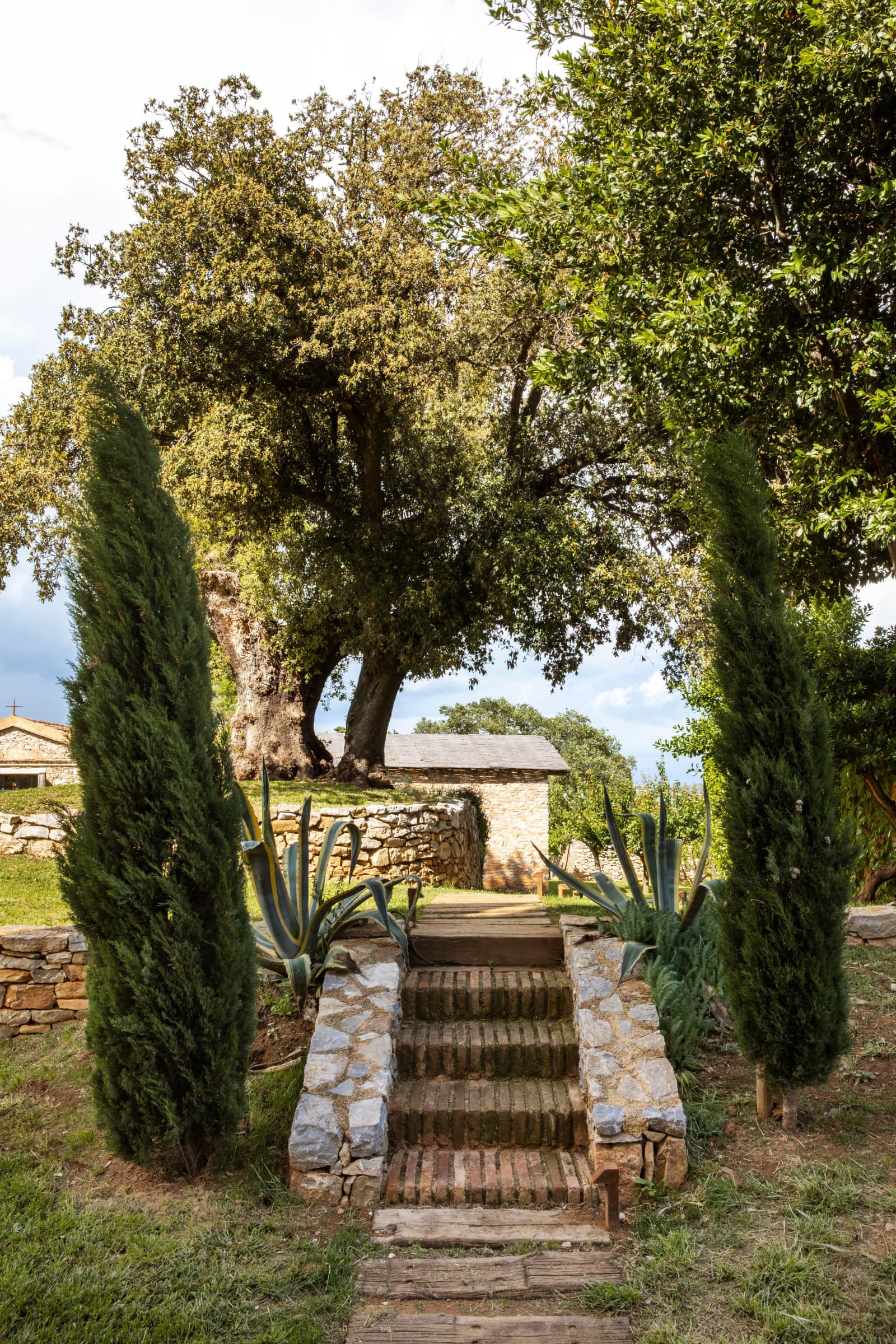Argentaia Estate in Maremma, Tuscany, photograph 22 of 55