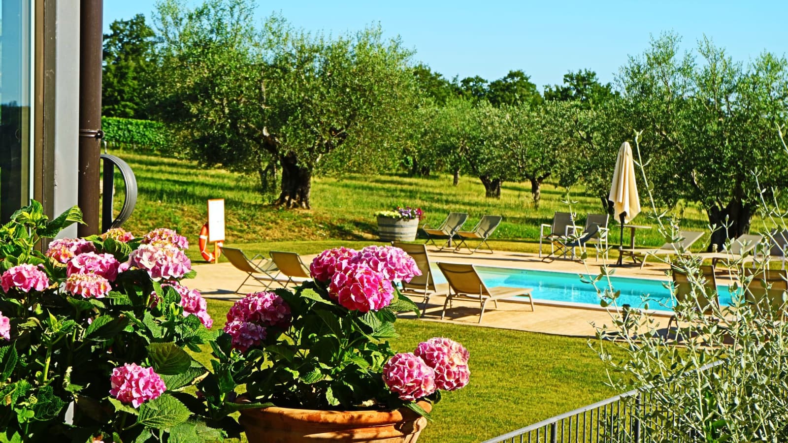 Tenuta La Barricaia — hydrangeas beside the pool