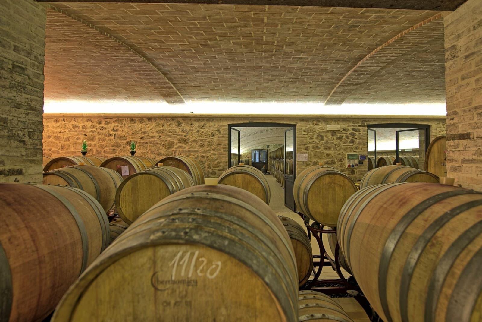 Tenuta La Barricaia — barrels in the estate's cellar