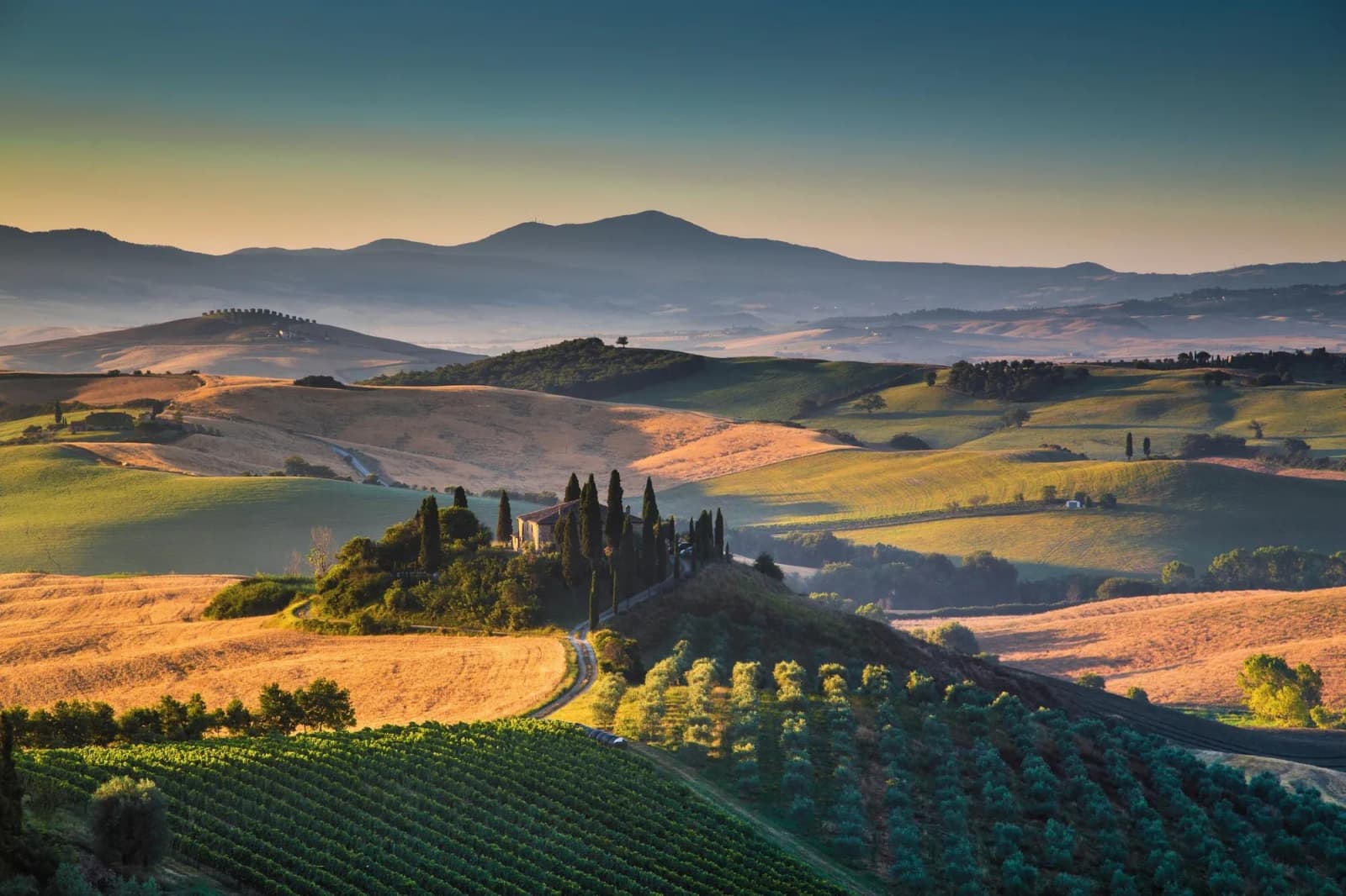 Castiglion del Bosco, photograph 33 of 34