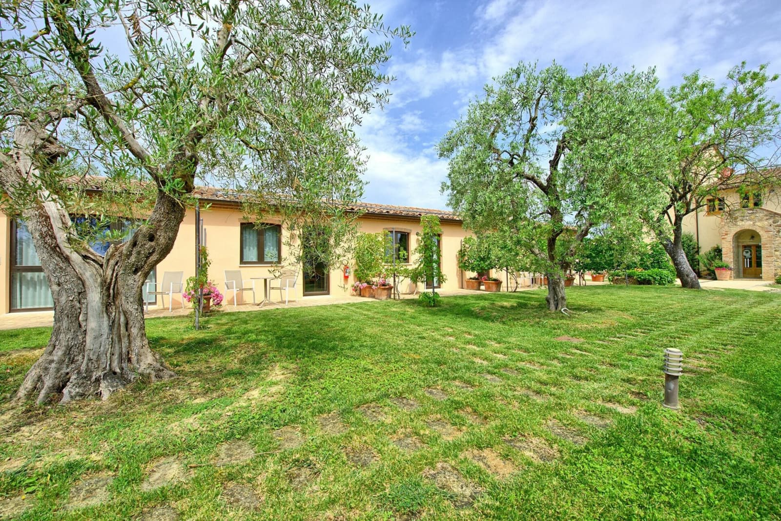 Tenuta La Barricaia — olive trees and lawn beside the villa