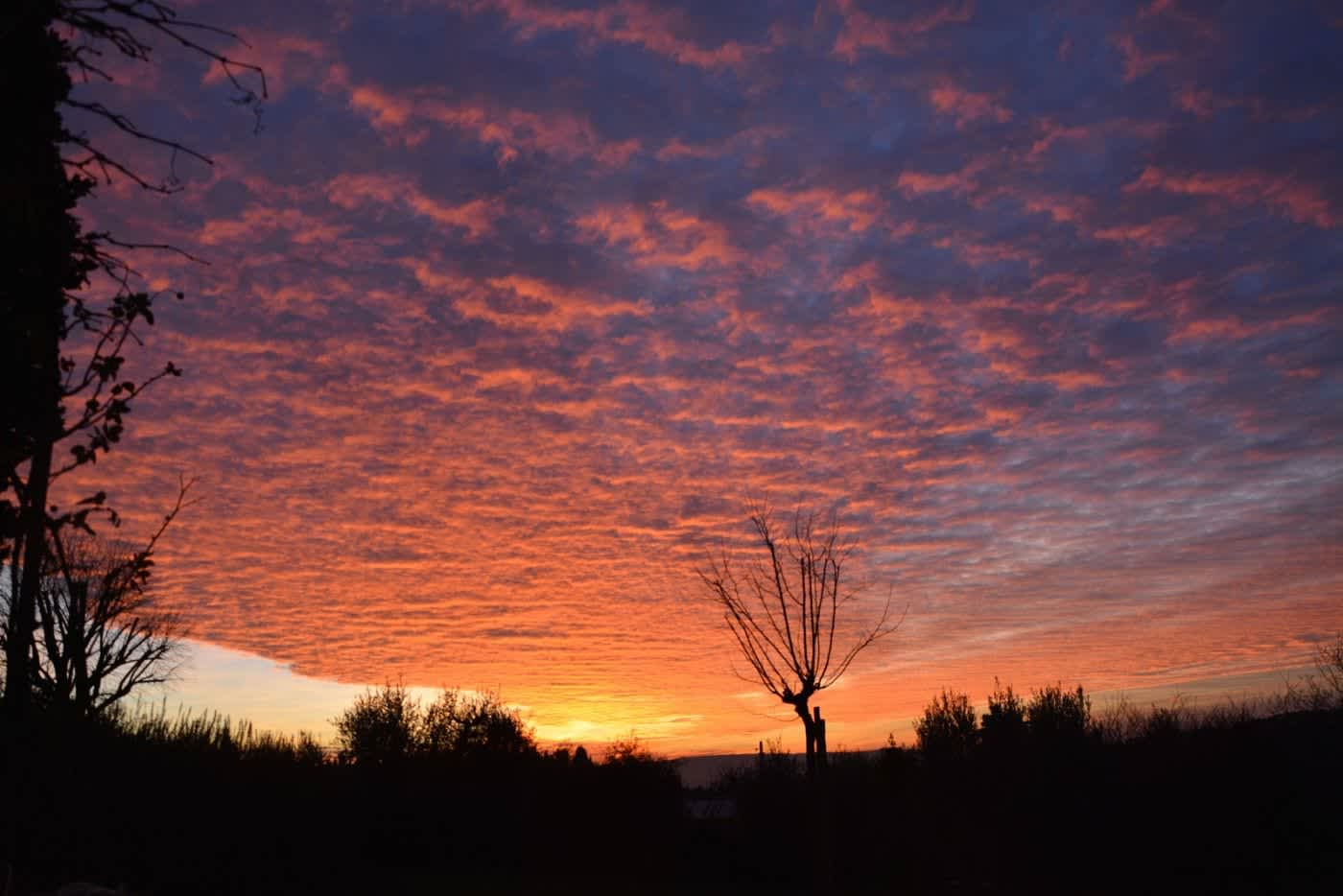 Villa Castellaro — sunset over the Chianti hills