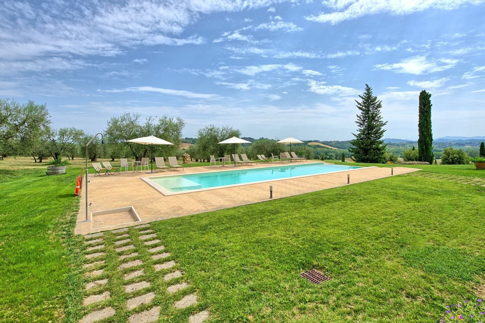 Tenuta La Barricaia — the pool framed by lawn and olive trees