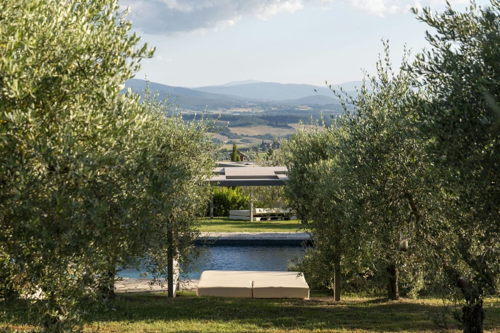 Villa Il Cellese — the pool through the olive trees