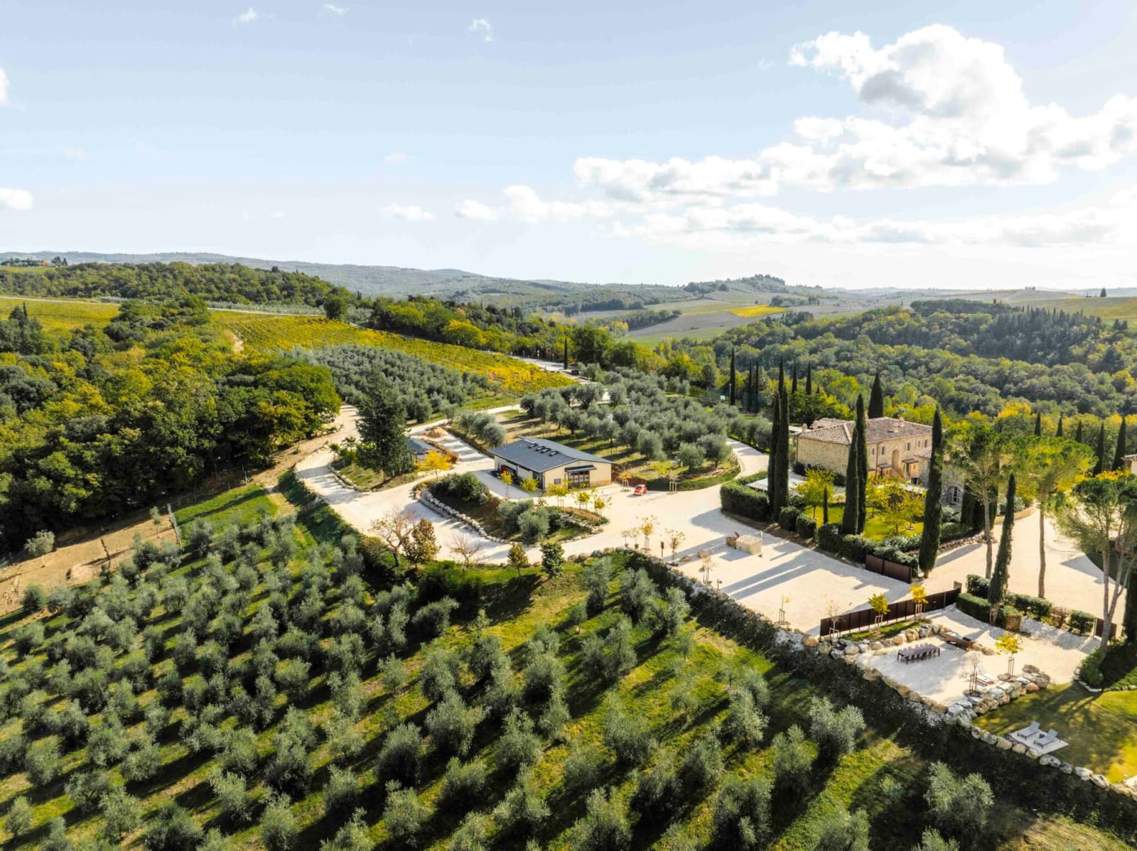 Tenuta Belvedere Estate: Tenuta Belvedere — vineyards and olive groves across the estate