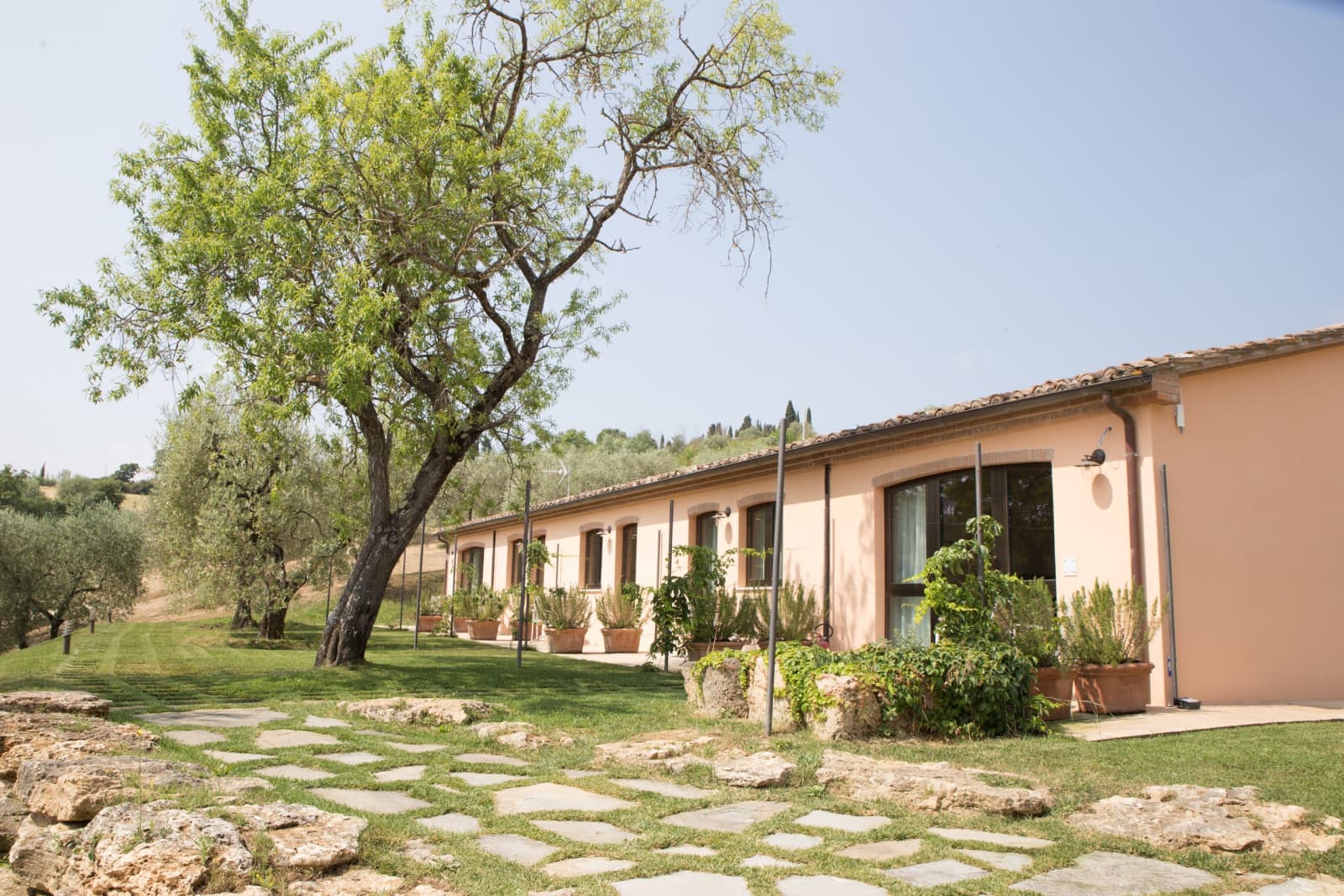 Tenuta La Barricaia — the guest annex among the olive trees
