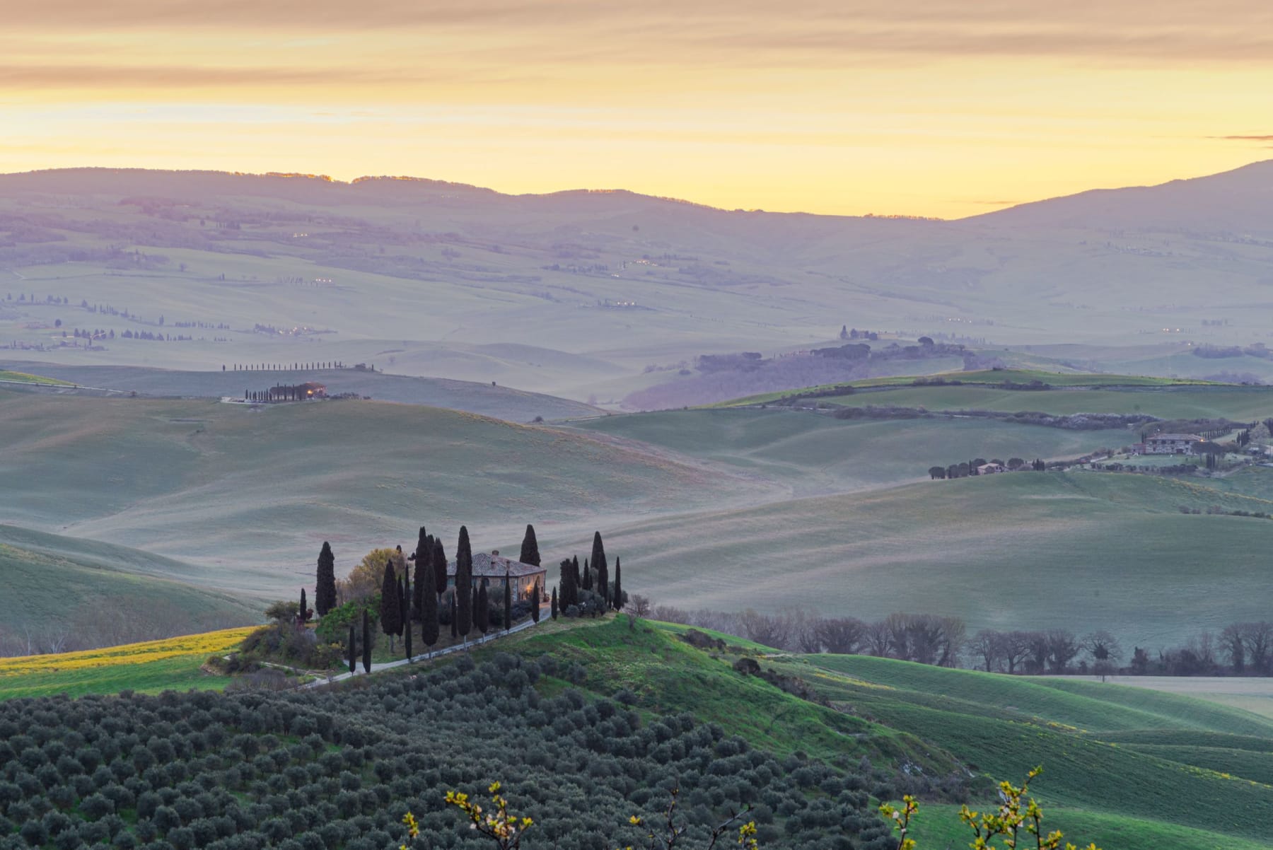 Spring in the Val d'Orcia: Poppies and When to Go