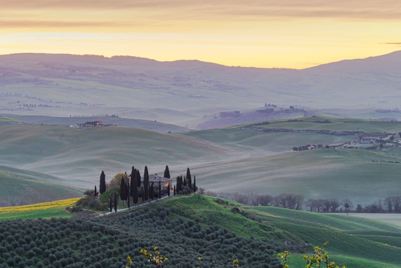 Spring in the Val d'Orcia: Poppies and When to Go