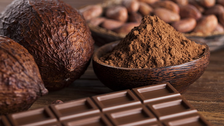 Proses seleksi biji cocoa premium berkualitas