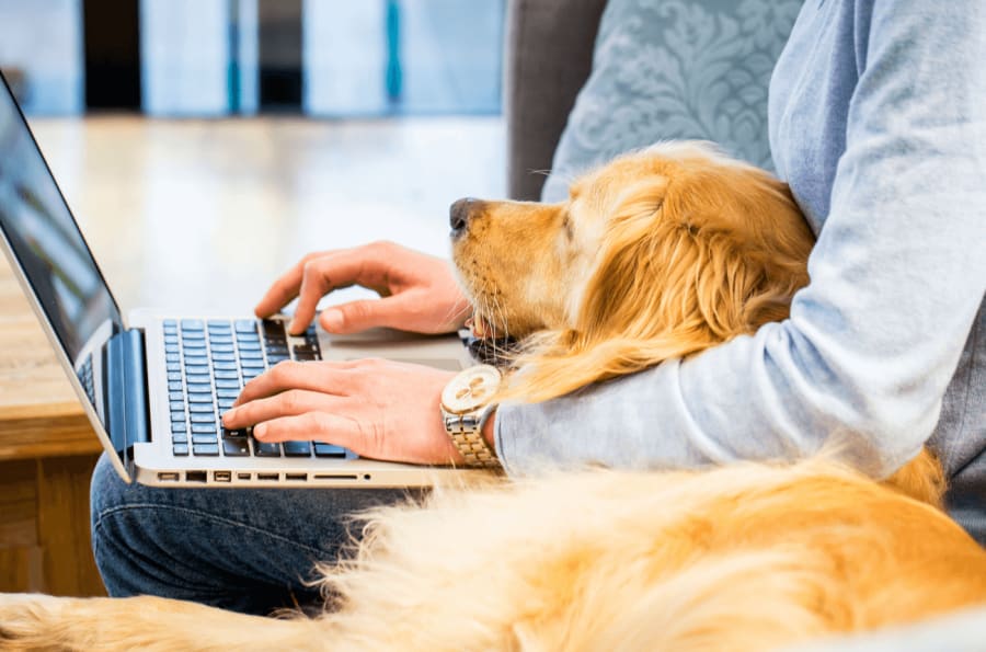 WFH: How to Remain Environmentally Friendly